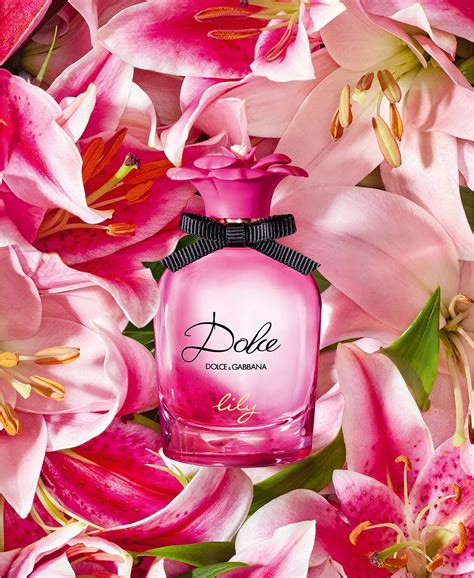 dolce gabbana silk floral dress|Dolce & Gabbana Dolce Lily ~ New Fragrances .